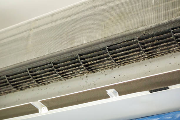 Best Air Duct Cleaning Near Me  in North Olmsted, OH